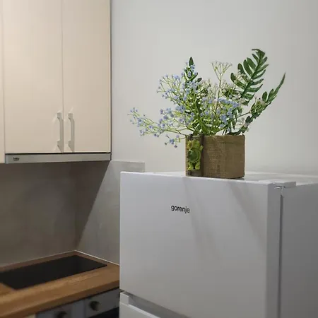 Home Inn Apartaments تيرانا