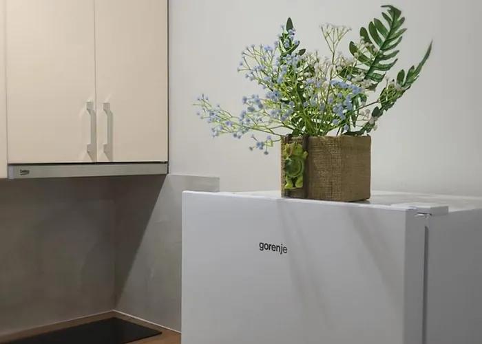 Home Inn Apartaments 地拉那
